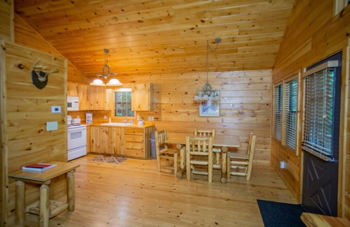 Helen Cabin | NEW HOTTUB! 1/4/25 Walk to town, EV Charger, In the Woods