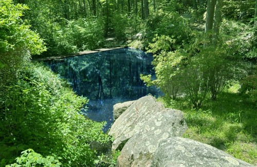 Guilford Apartment | NEW! Large Studio Apartment : Close to the Guilford Green : Pets Welcome!