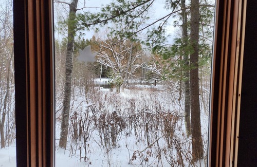 Grayling Cottage | New Listing! Au Sable Riverfront Getaway! 3 Bedroom.
