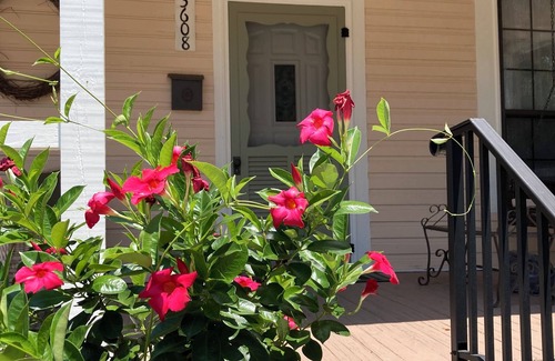 Gulfport Cottage | NEW LISTING! Charming, newly renovated beach cottage gem. Snowbird discount!