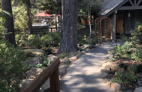Lake Forest House | New Listing: Dollar Point (Tahoe City)- Remodeled, Hot Tub, Steam Shower