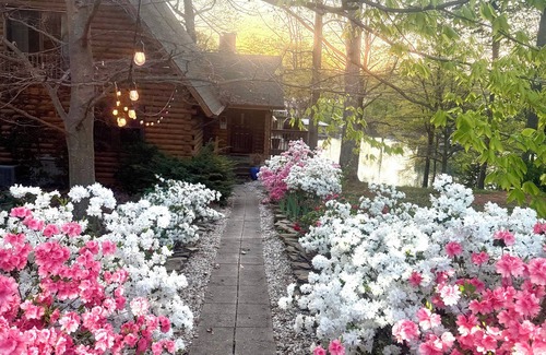 Lake Norman of Catawba Cabin | New Listing! Lakefront Cabin | Lake Norman | Sleeps 10 | Large Deck | Kayaks!