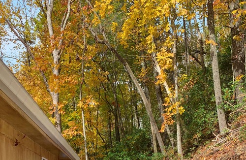 Cherry Log Cabin | New listing~modern~remodeled~hot tub~creek