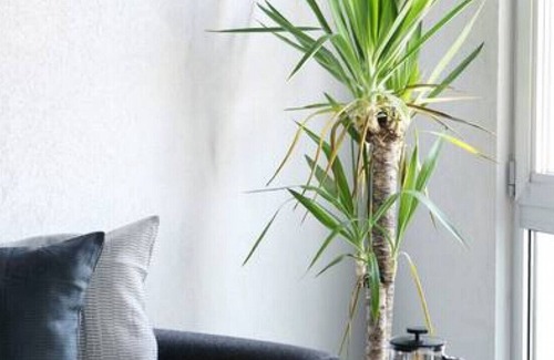 Bakırkoy Apartment | NEW! Luxury Loft Flat 5 mins away by the Sea
