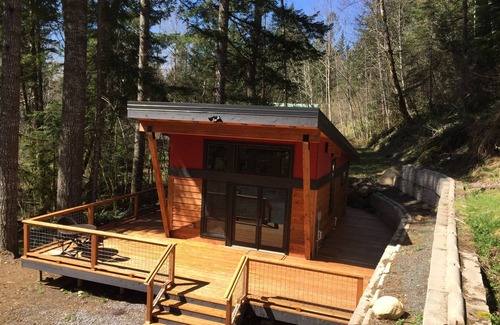 Paradise Estates Cabin | New Modern Mt. Rainier Cabin - Wrap-around deck, Fireplace, Wifi, Netflix + more
