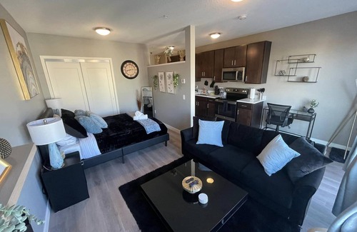 Merriam Park Apartment | New Modern Studio Apartment