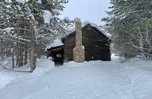 Island Park Cabin | New Mountain Modern Cabin 25 min from Yellowstone
