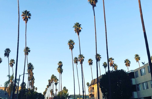 North Hollywood House | New NoHo Share House