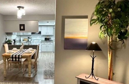 New Port Richey Apartment | New Port Richey Hideaway