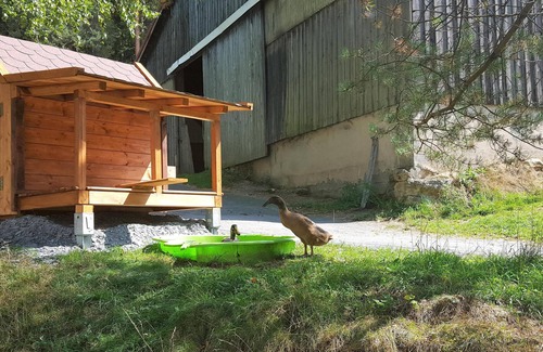 Weissenstadt Apartment | NEW! Reiterhof Finkenmühle apartment Romano with balcony