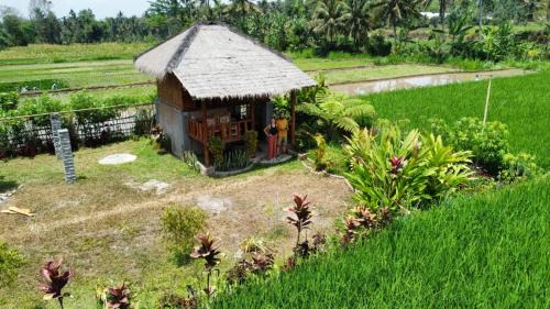 Kotaraja House | New Rinjani Homestay