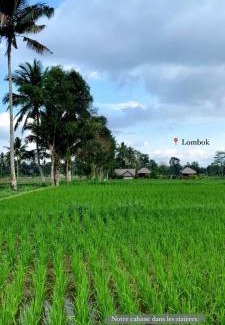 Kotaraja House | New Rinjani Homestay