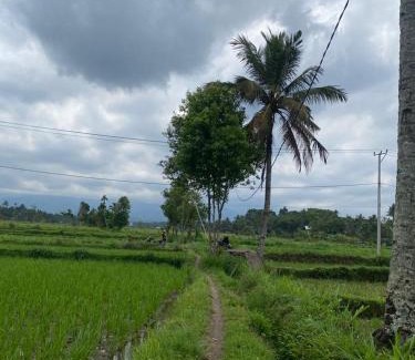 Kotaraja House | New Rinjani Homestay