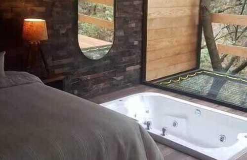 Zapopan Apartment | NEW! Romantic Forest Loft with Hot Tub, Deck & BBQ