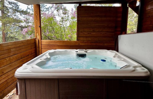 Woodland Park Apartment | NEW Sauna & Private Hot Tub Overlooking Pikes Peak