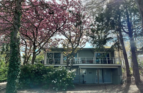 New Seabury House | New Seabury Cape Escape! 3 BR Mid Century House 5-7 minute walk to Poppy Beach