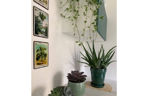 Strasbourg Apartment | New T4 apartment near European institution