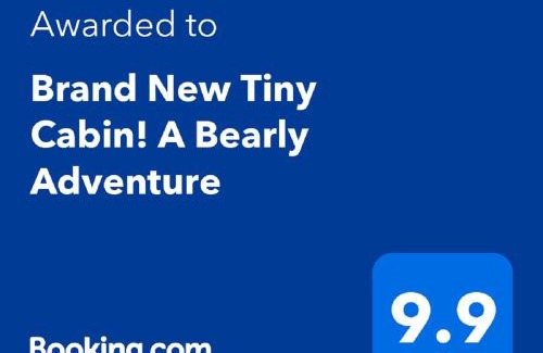Sevierville House | New Tiny Cabin! A Bearly Adventure