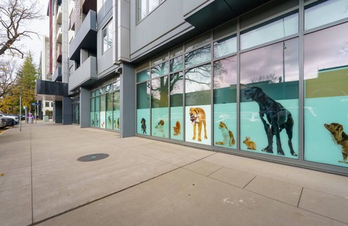 Braddon Apartment | NEW TO VRBO: Convenient City Apartment in the Heart of Braddon