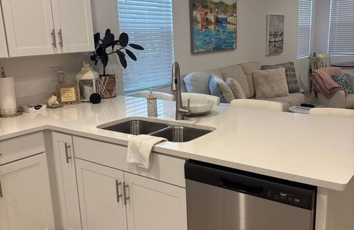 Sarasota House | New townhome, corner lot overlooking park