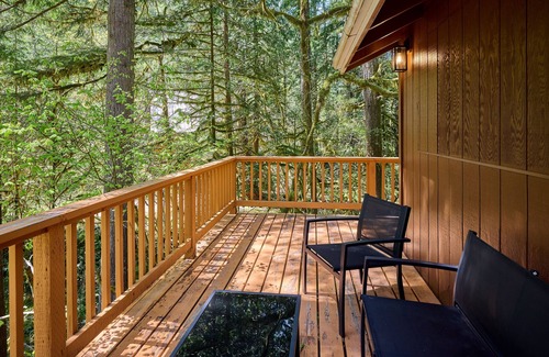 Rhododendron Cabin | NEW - Two Cabins One Epic Getaway! Hot Tub, 9 beds/Fast Wifi/AC/2 Kitchens