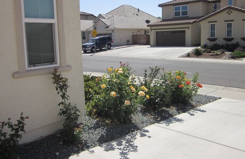 Elk Grove Apartment | NEWER 500 SF STUDIO IN ELK GROVE NEAR SACRAMENTO, RIVERS AND DELTA