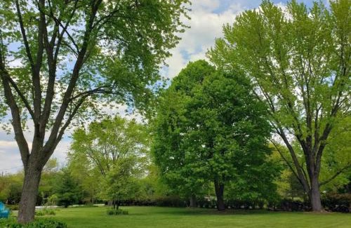 Barrington House | Newly Remodeled 2BR 2BA Home - Close to Barrington