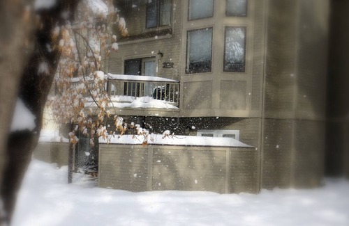 Downtown Condo | Newly remodeled bright open floor plan located in the heart of Boulder