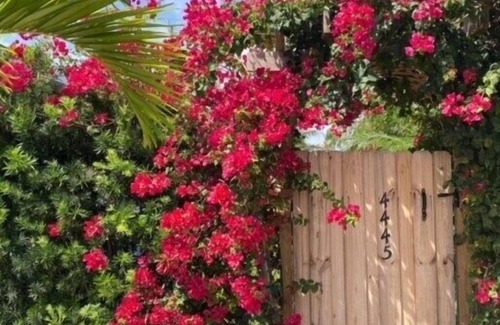 Lauderdale-by-the-Sea Apartment | Newly renovated and comfortable studio, a 2-3 minute walk from the beach in Lauderdale by the Sea