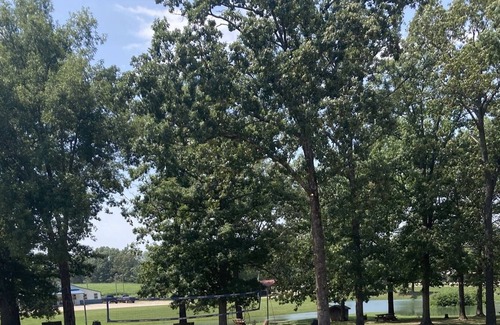 Wappapello Cabin | Newly renovated 2 Queen Rm w/high speed internet