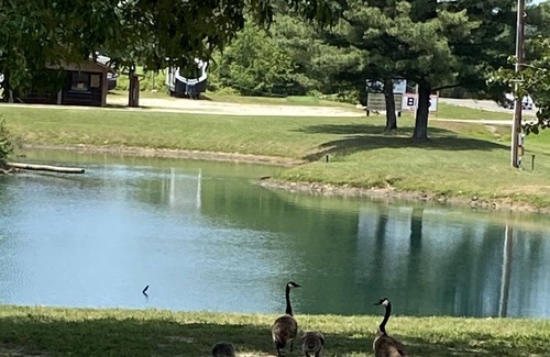 Wappapello Cabin | Newly renovated 2 Queen Rm w/high speed internet