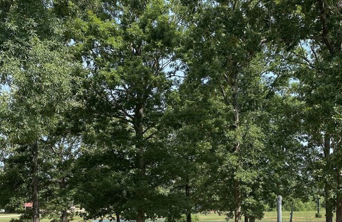 Wappapello Cabin | Newly renovated 2 Queen Rm w/high speed internet