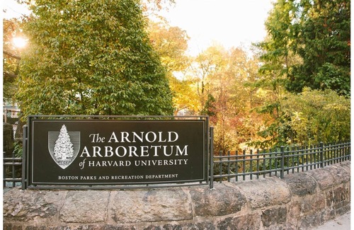 Egleston Square Apartment | Newly renovated pet friendly apt by parks and train!