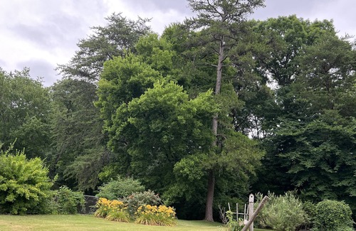 Middle Valley House | Newly Renovated Spacious House--15miles to downtown