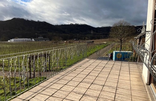 Winningen Condo | Newly renovated vacation apartment in the winery.