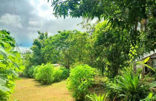 Anuradhapura House | Nibanda homes and tours