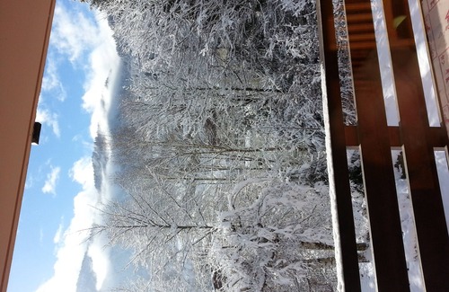 Les Houches Apartment | Nice 3-room apartment at the foot of the Mont-Blanc massif
