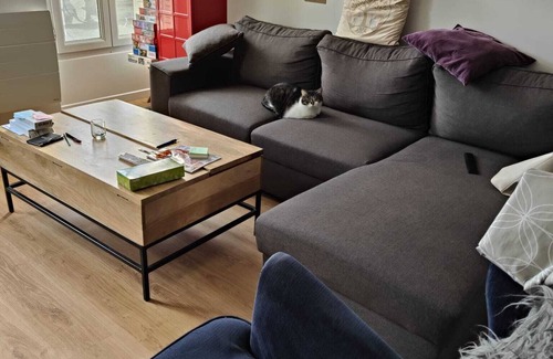 Montrouge Apartment | Nice and well placed apartment
