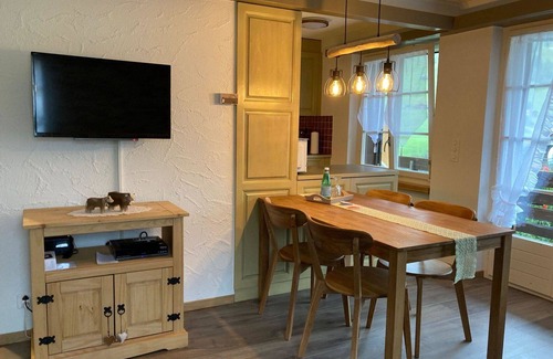 Ruedisbach Apartment | Nice apartment for 4 guests with WIFI, TV, balcony and pets allowed