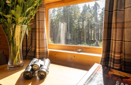 Logie Coldstone Apartment | Nice apartment for 4 guests with terrace and pets allowed