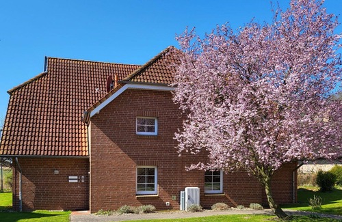 Ummanz Apartment | Nice apartment for 5 people with WIFI, TV and terrace