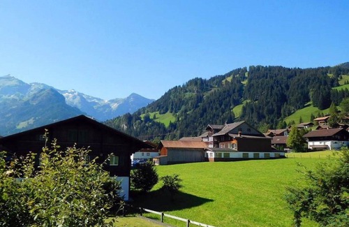 Lenk Apartment | Nice apartment for 5 people with WIFI, TV, balcony and pets allowed