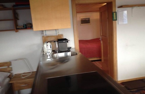 Riederalp Apartment | Nice apartment for 3 people with WIFI, TV, balcony and pets allowed