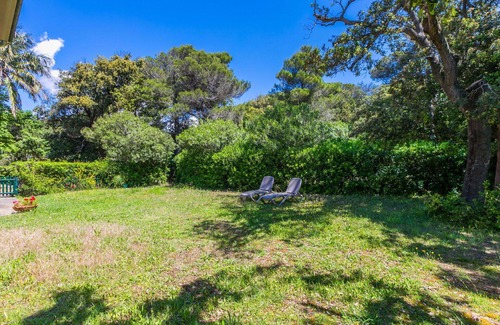 Rosignano Marittimo Apartment | Nice apartment for 4 guests with WIFI, pool, TV and patio