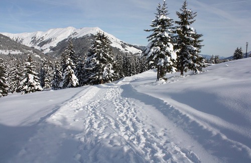 Hochkrimml Apartment | Nice apartment with south balcony in the skiing- and hikingparadise