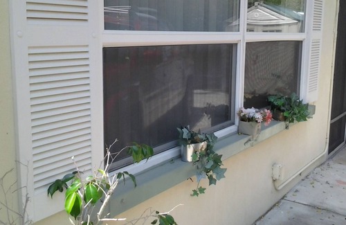 St. Petersburg - Clearwater Cottage | Nice, clean 1br cottage near Treasure Island