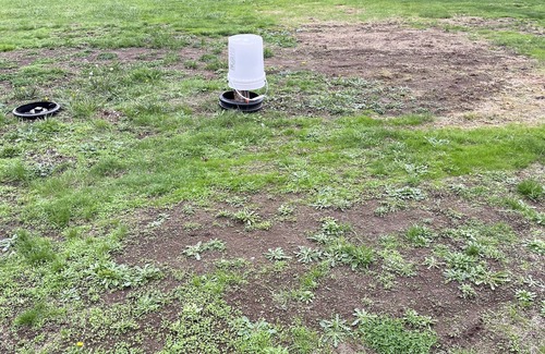 Shelton RV Rental | Nice flat full RV hook up space! Quiet!