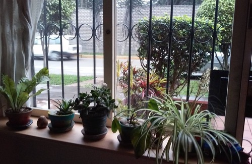 San Roque Apartment | Nice one bedroom apartment with garden to rent