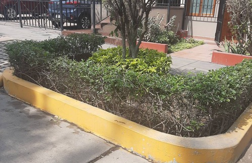 San Roque Apartment | Nice one bedroom apartment with garden to rent