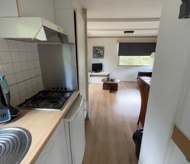 Anloo Ski Chalet | Nice vacation home in forest area